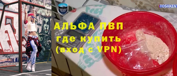 прущие грибы Армянск