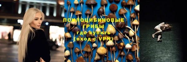 прущие грибы Армянск