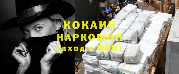 прущие грибы Армянск